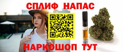 гашик Кингисепп