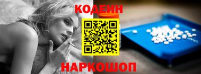 гашик Кингисепп