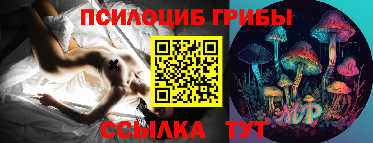 Псилоцибиновые грибы мицелий Ярцево